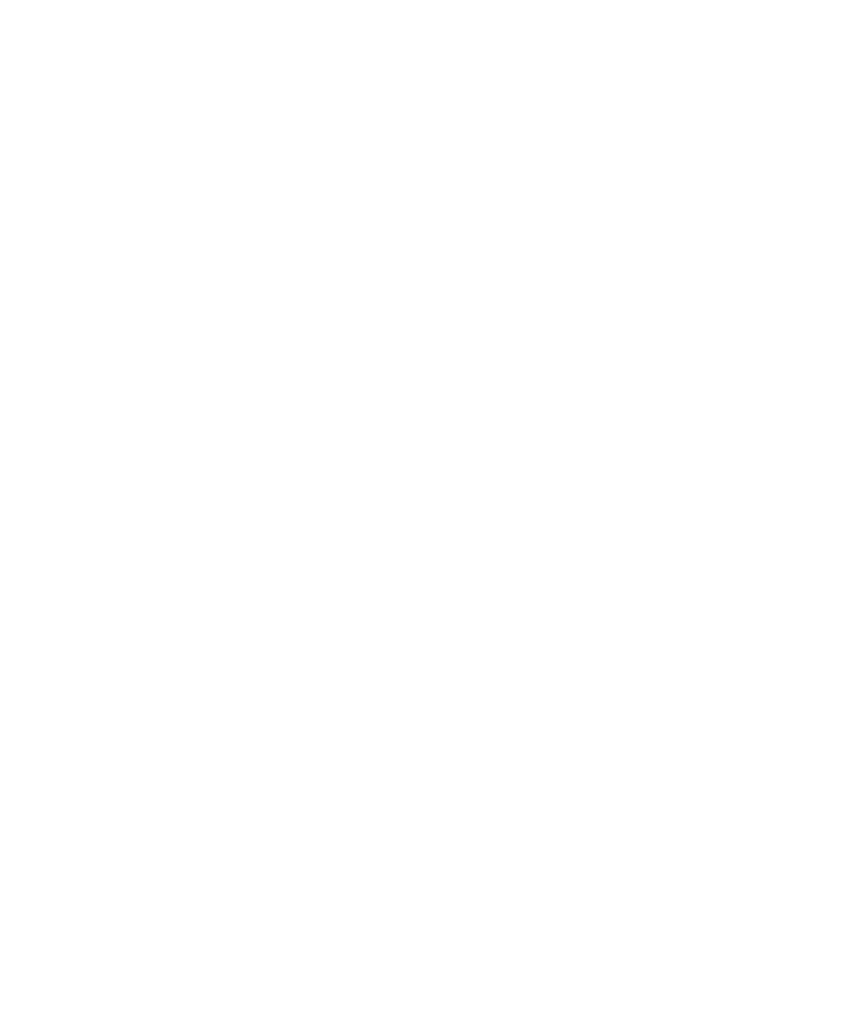 Logo Brandmark blanc