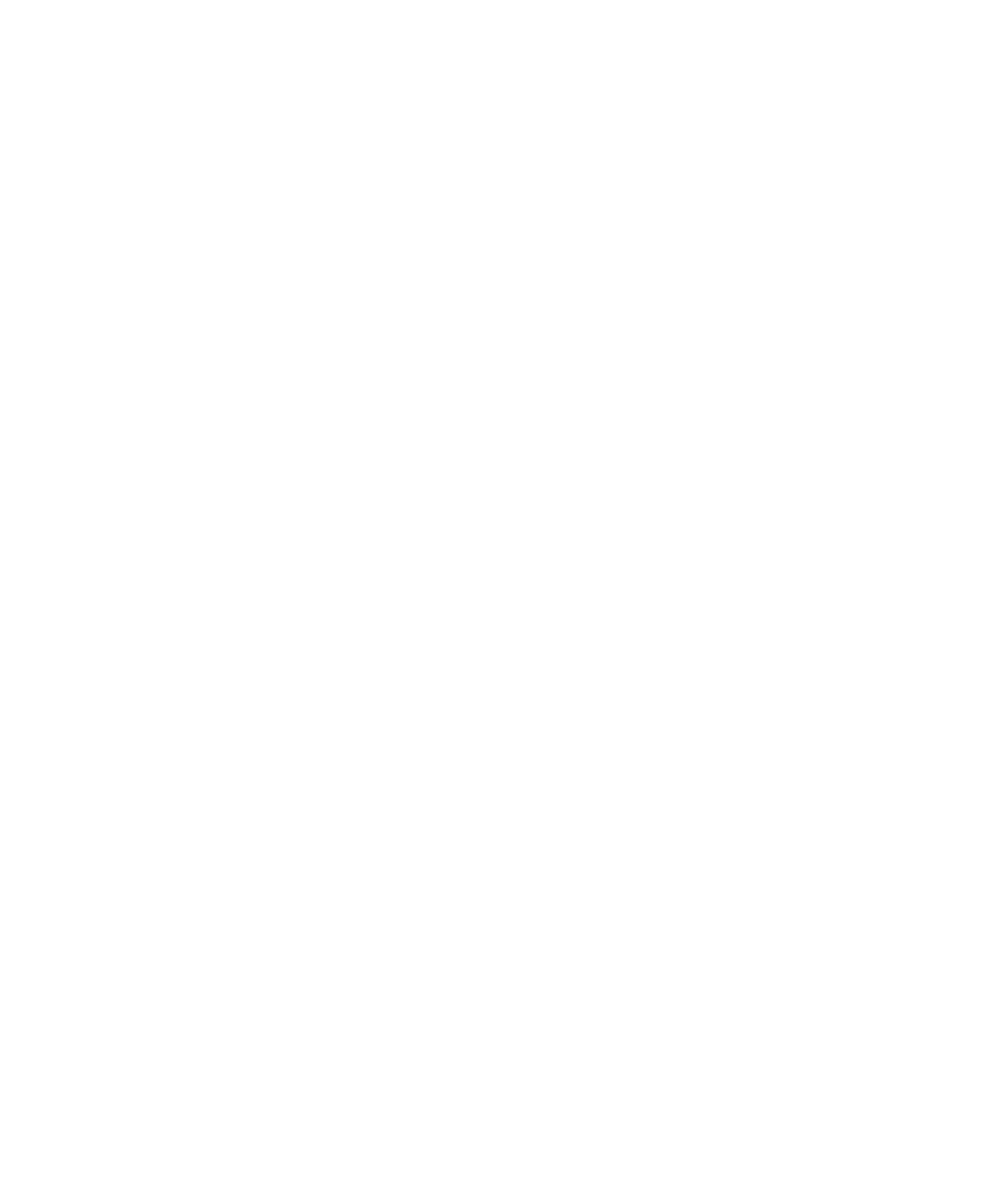 Logo Brandmark blanc